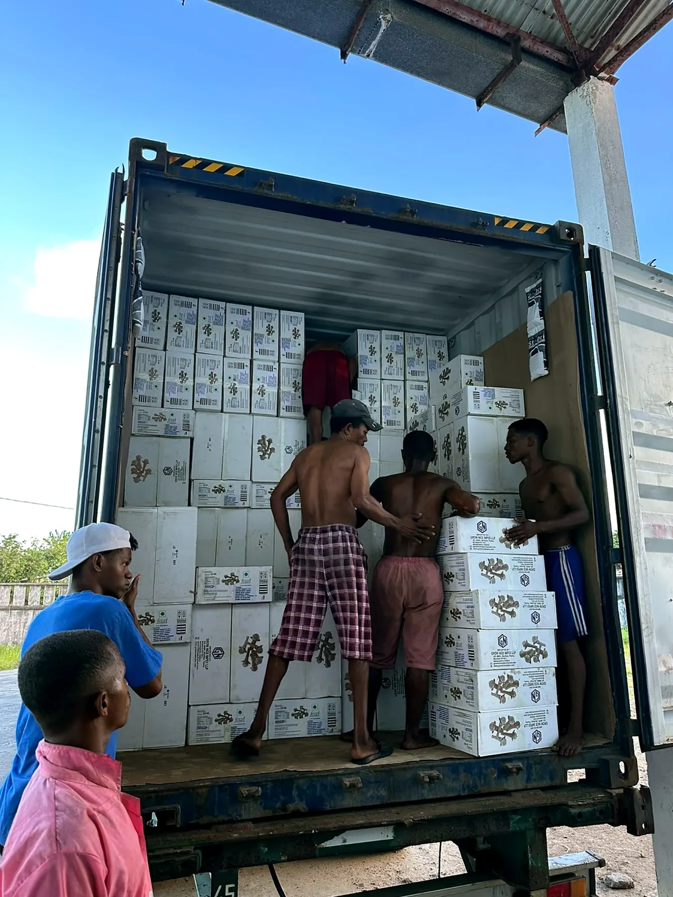 Cartons being loaded into a shipping container