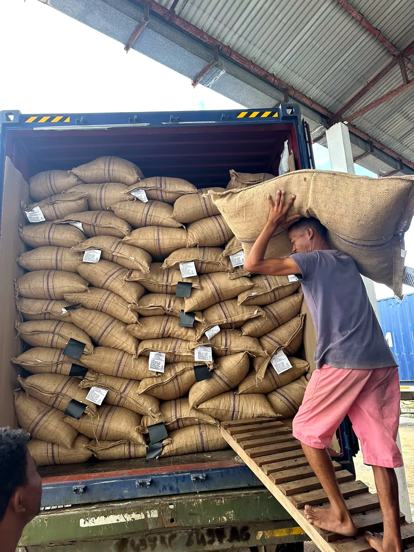 Export sacks loaded into a shipping container