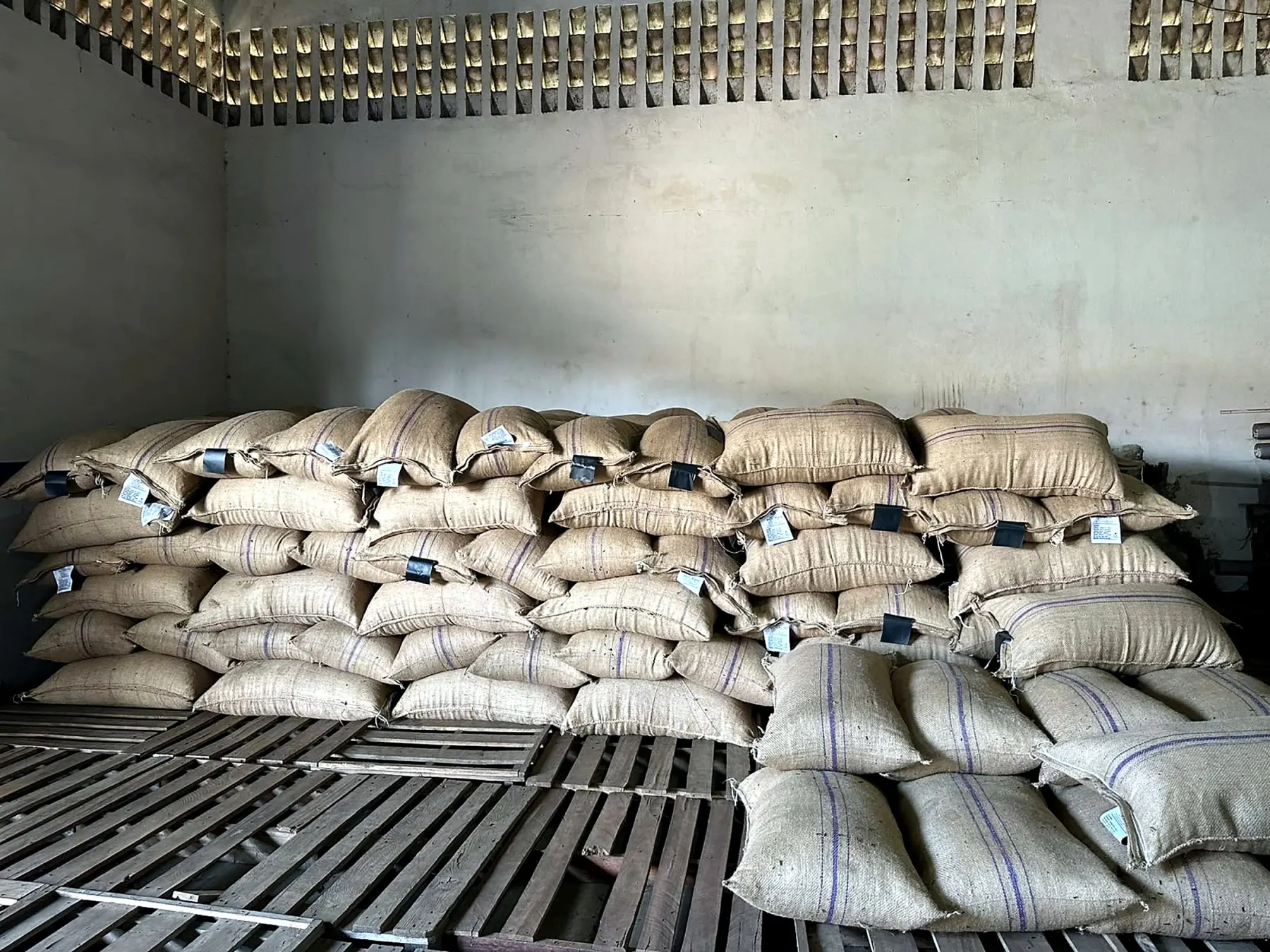 Export sacks stored on pallets inside the BMS warehouse